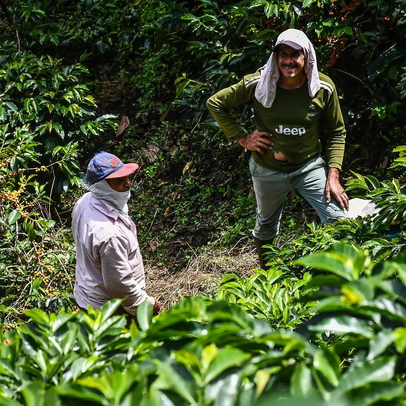 COLOMBIA Yiver Vargas