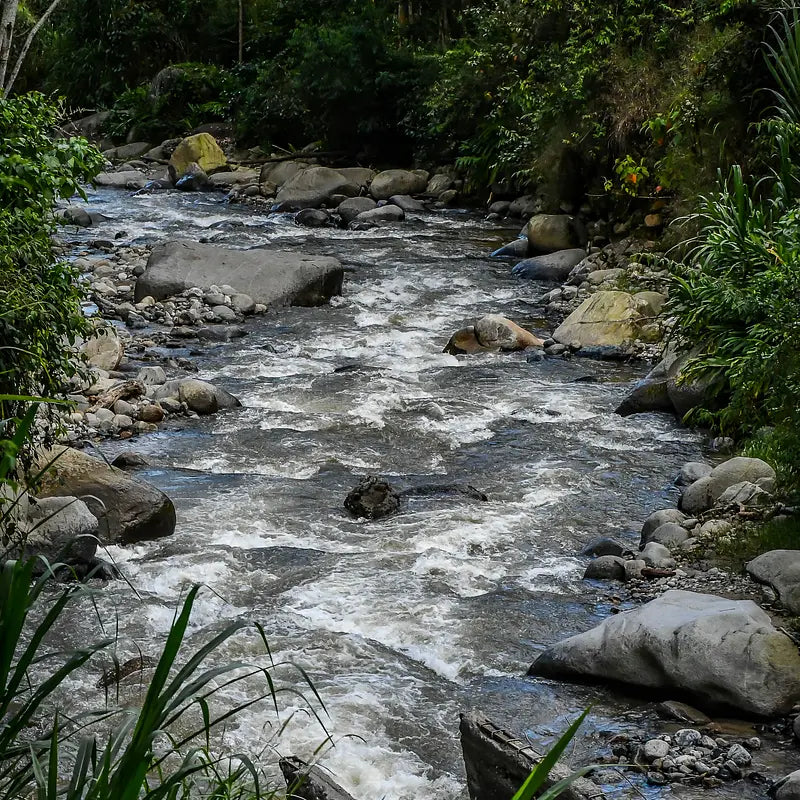 COLOMBIA Yiver Vargas