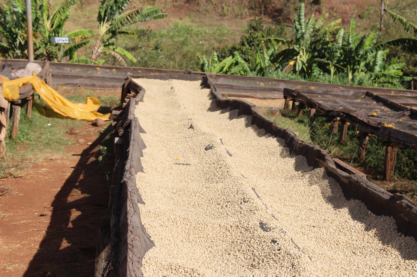 KENYA Gichathaini