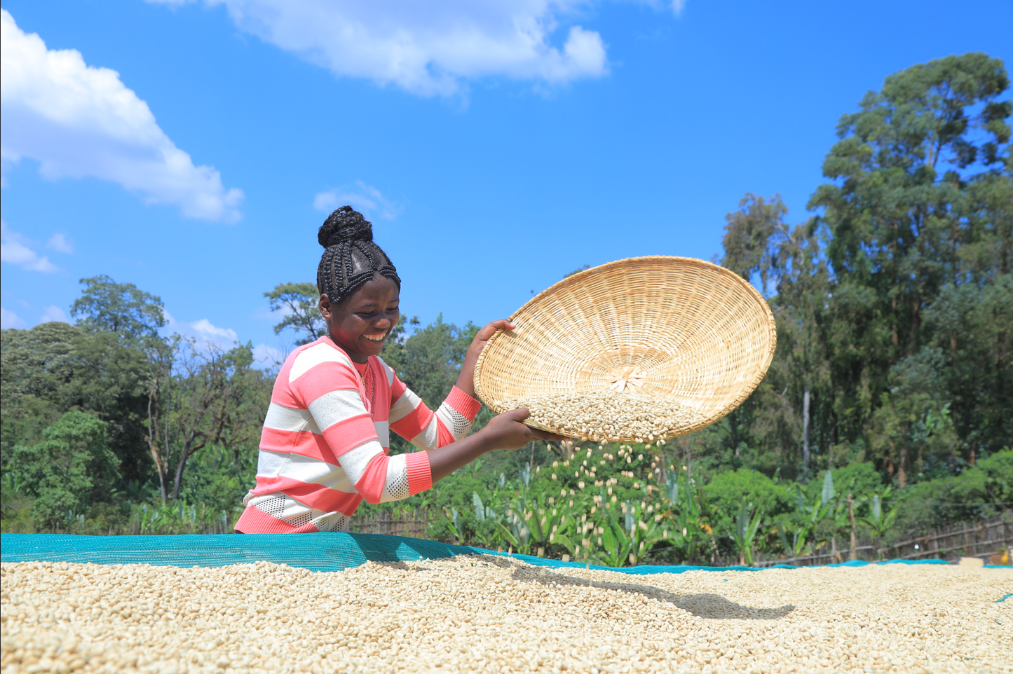 ETHIOPIA Chelbesa