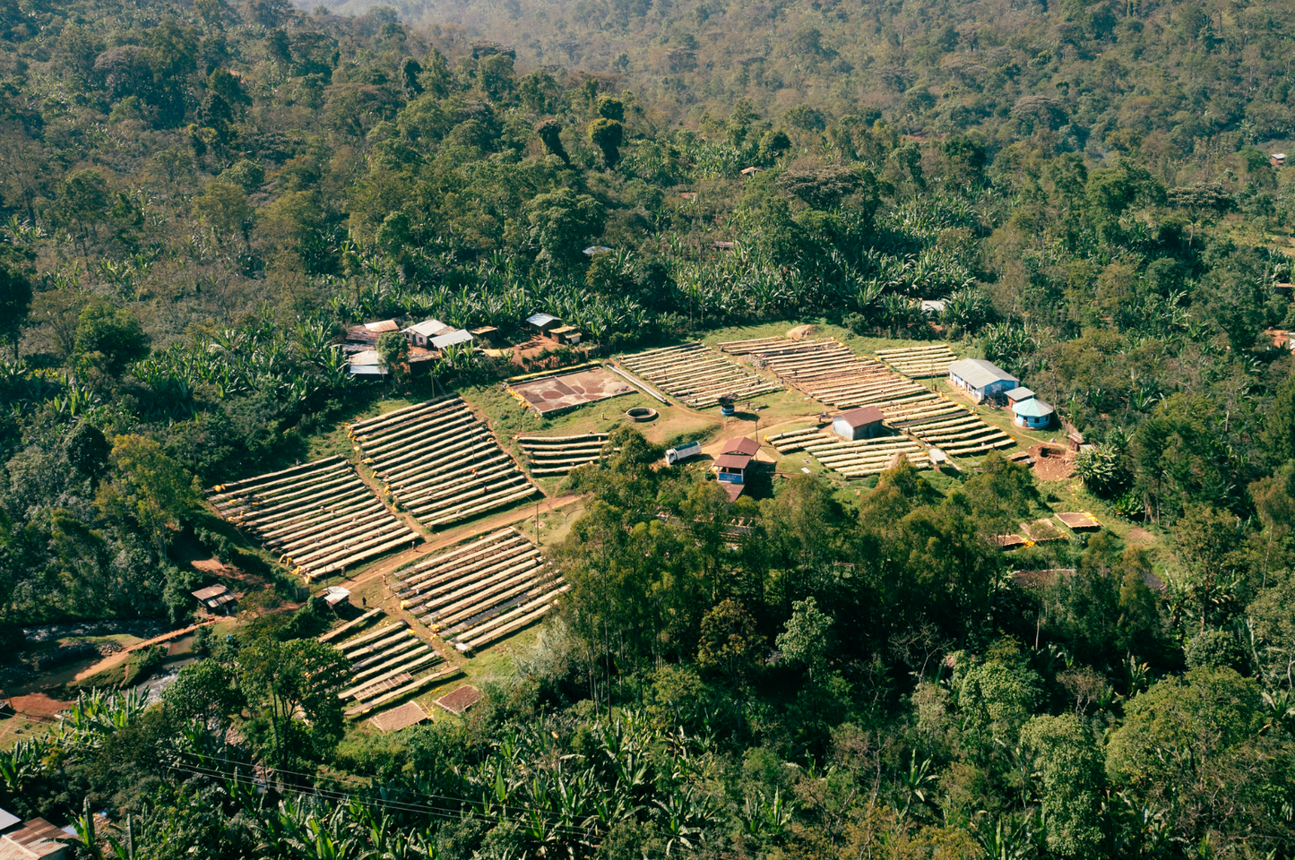 ETHIOPIA Benti Nenka