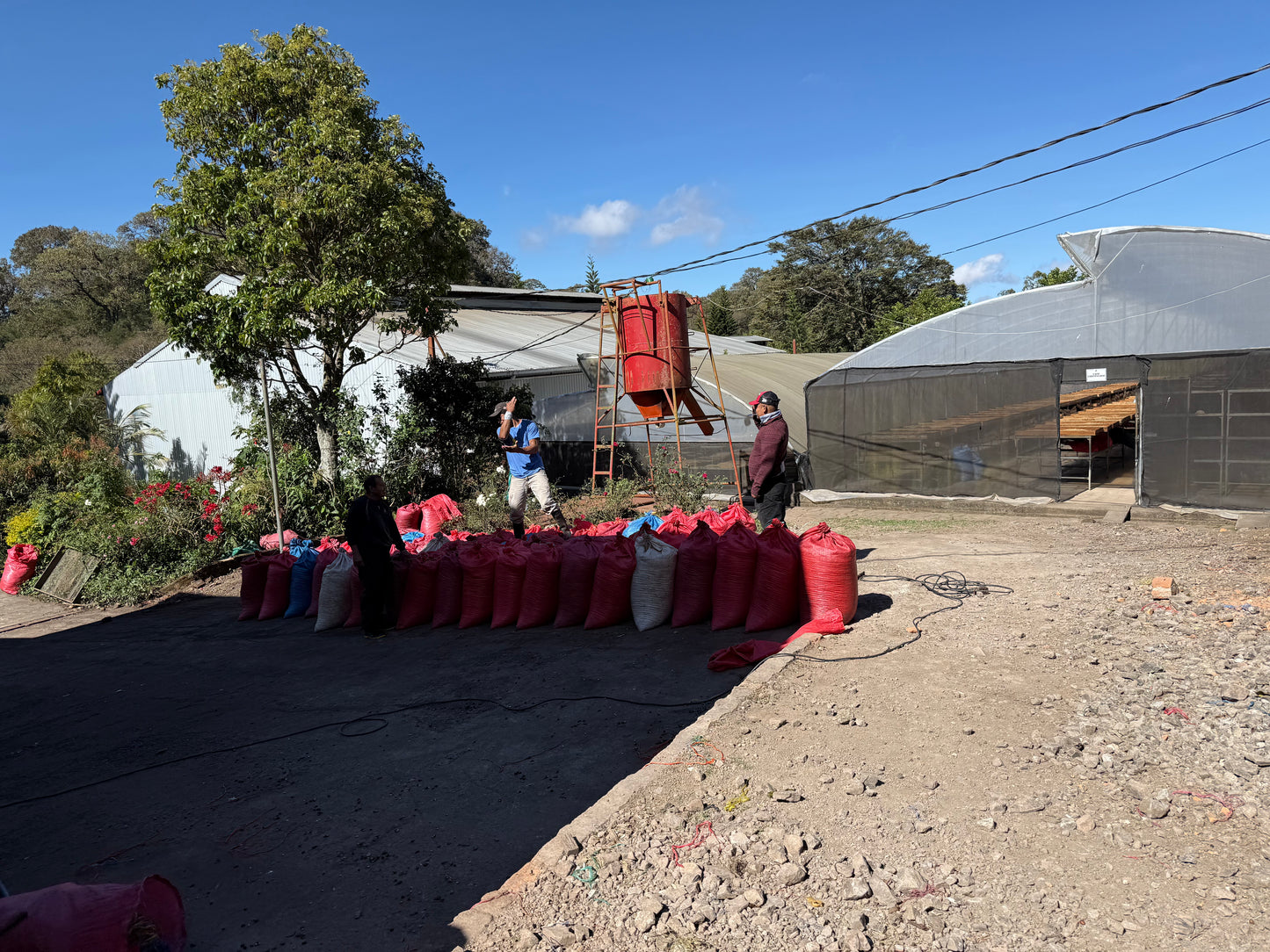 NICARAGUA Los Papales