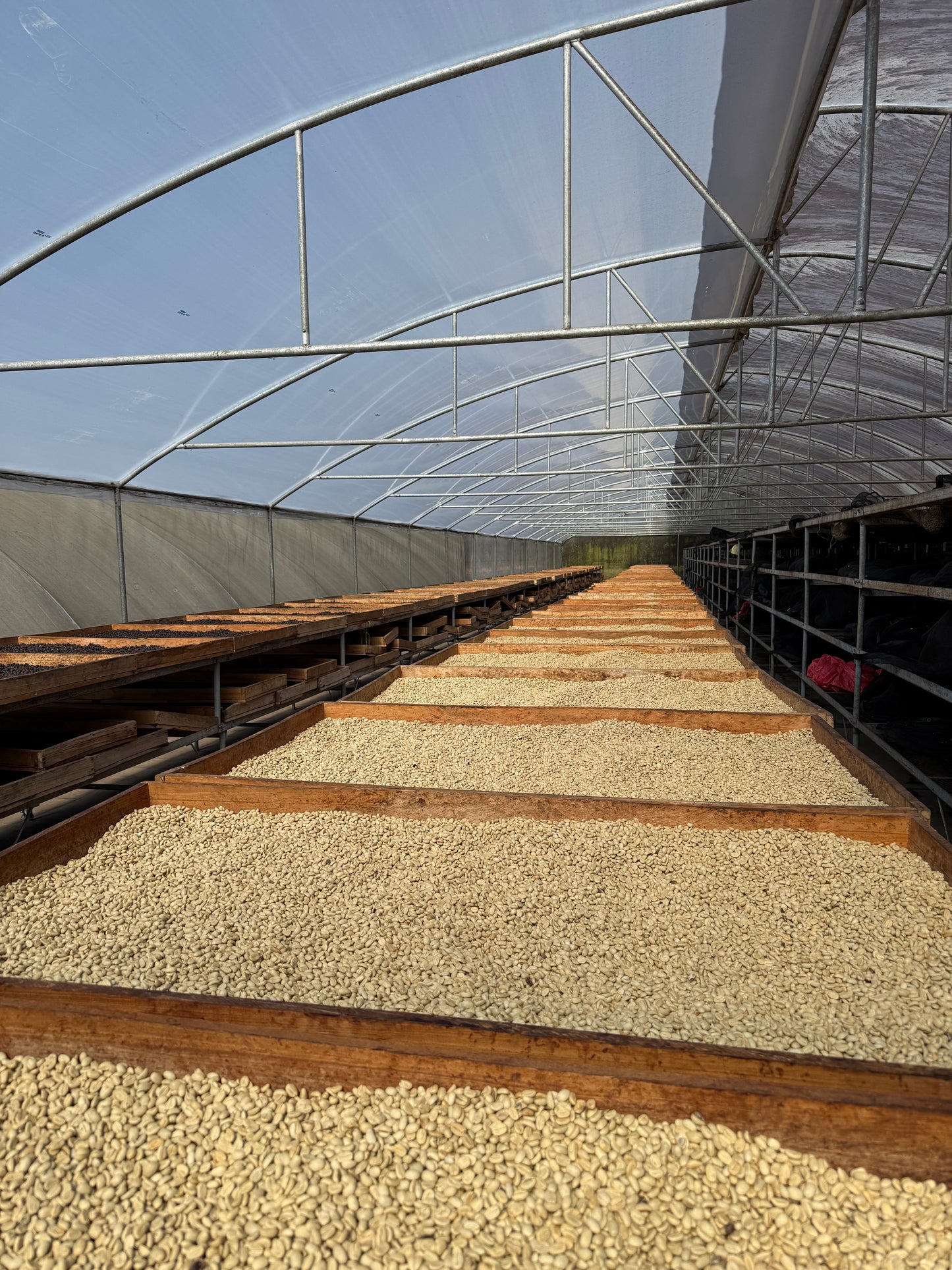 NICARAGUA Los Papales