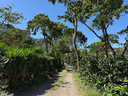 NICARAGUA Los Papales