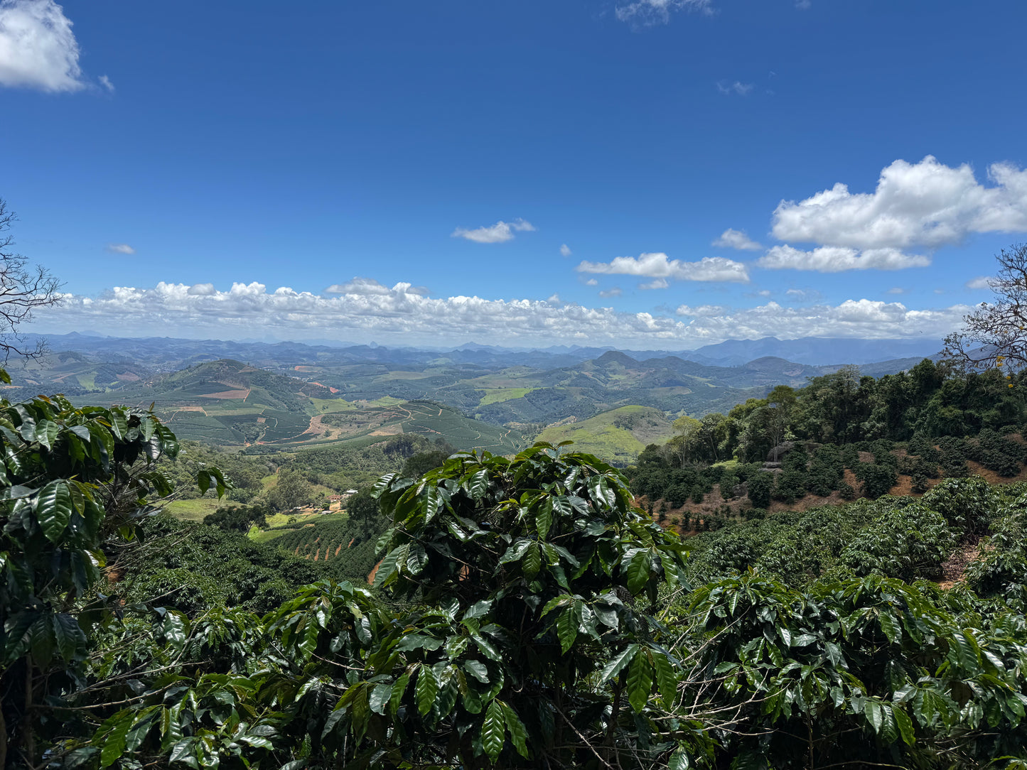 BRAZIL - Rota dos Tropeiros