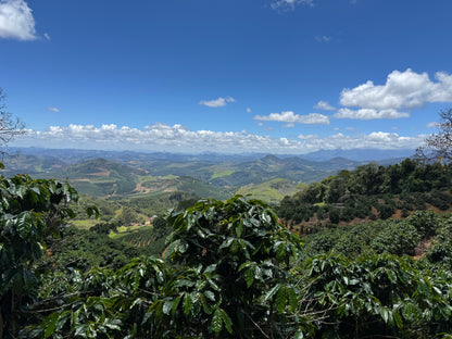 BRAZIL - Rota dos Tropeiros