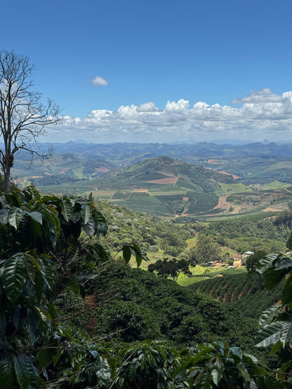 BRAZIL - Rota dos Tropeiros