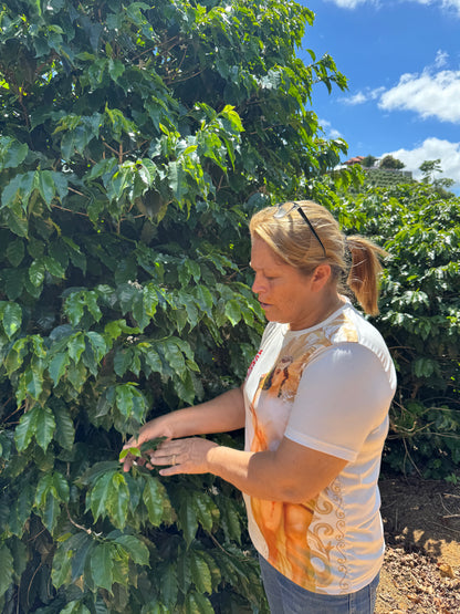 BRAZIL - Rota dos Tropeiros