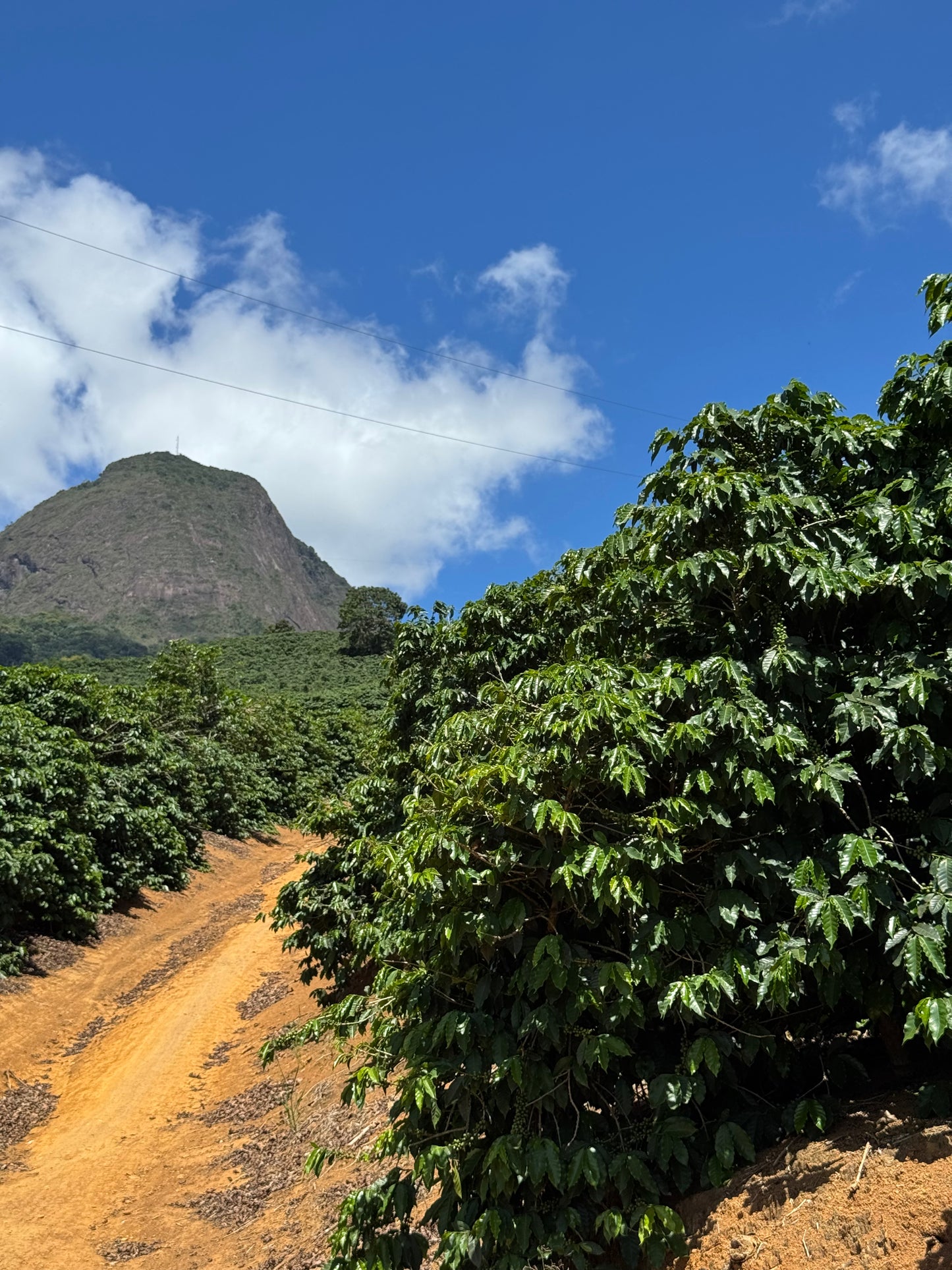 BRAZIL - Rota dos Tropeiros