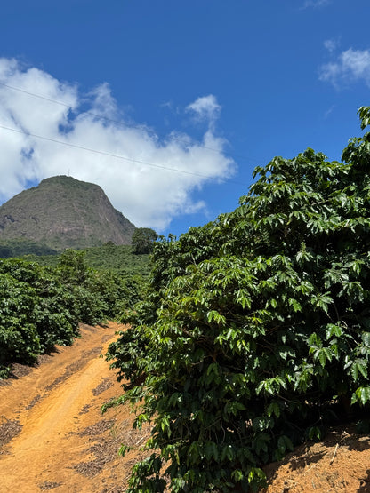 BRAZIL - Rota dos Tropeiros
