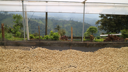 ECUADOR Cruz Loma