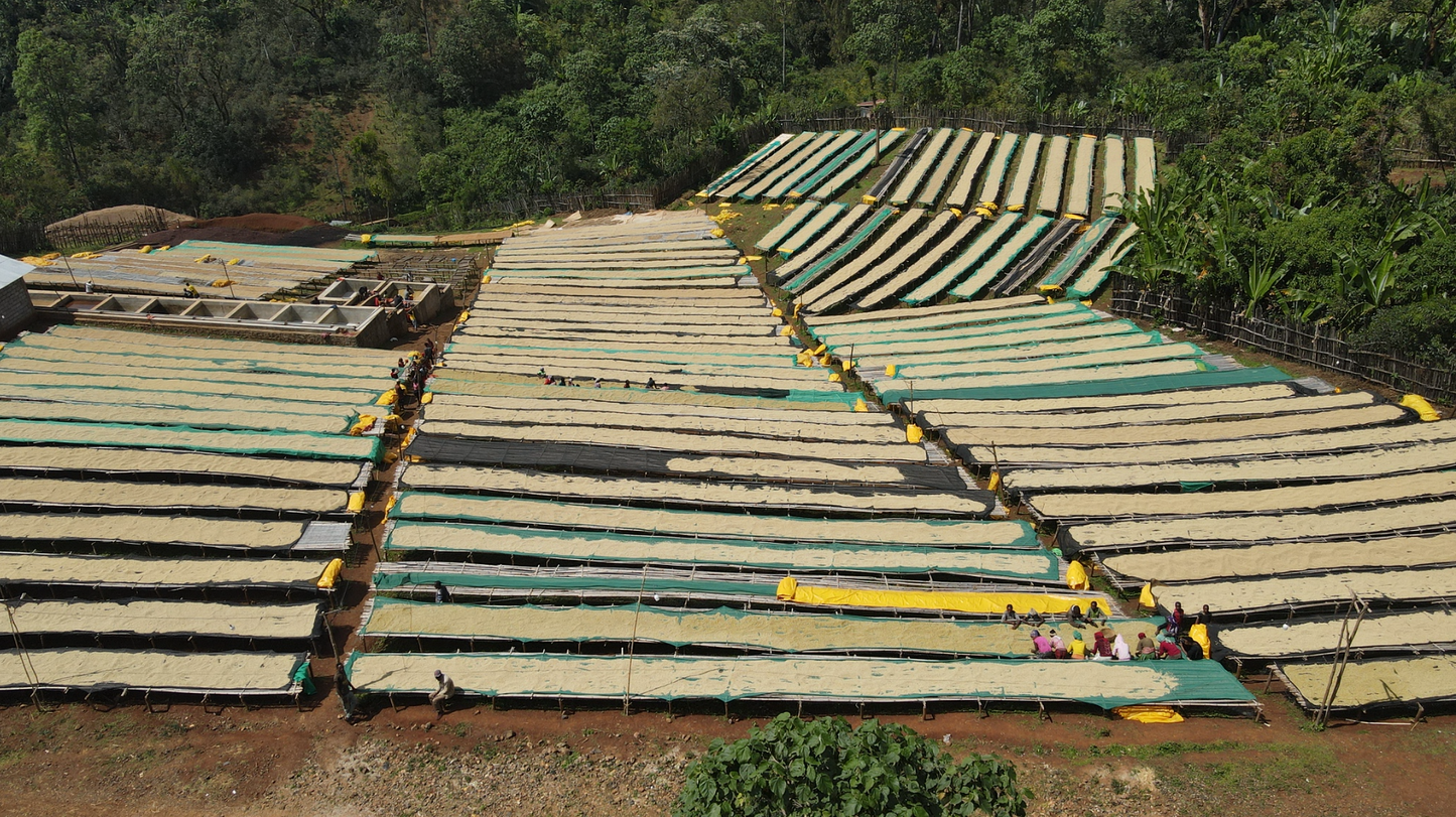 ETHIOPIA Benti Nenka
